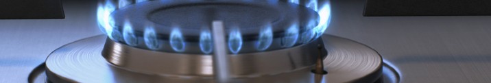 Какой газ используется в квартирах и частных домах: пропан или метан