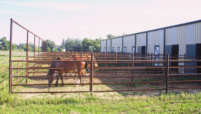 конюшня из сэндвичных панелей