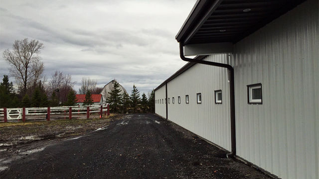 Лошадиная ферма от врк1