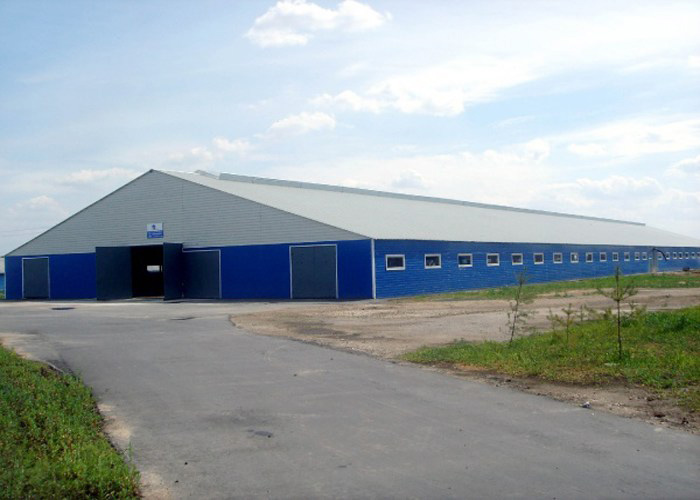 строительство свинарника